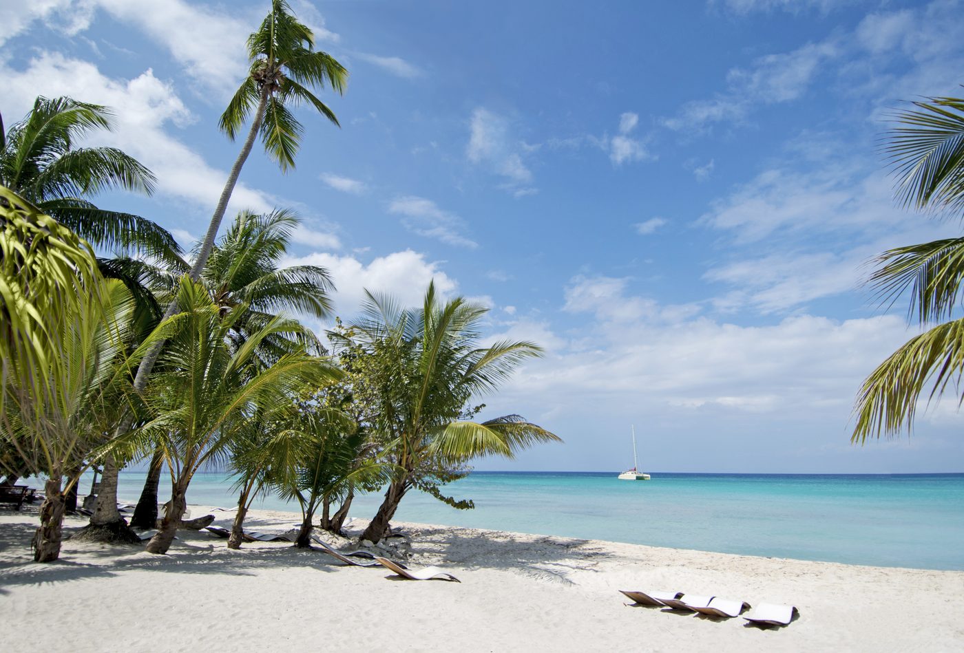 Weißer Palmenstrand mit Sonnenliegen und einem Katamaran im türkisblauen Meer