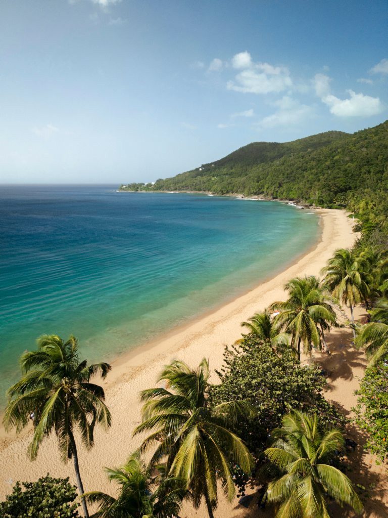Palmengesäumte Bucht mit goldenem Sandstrand und grünen Hügeln